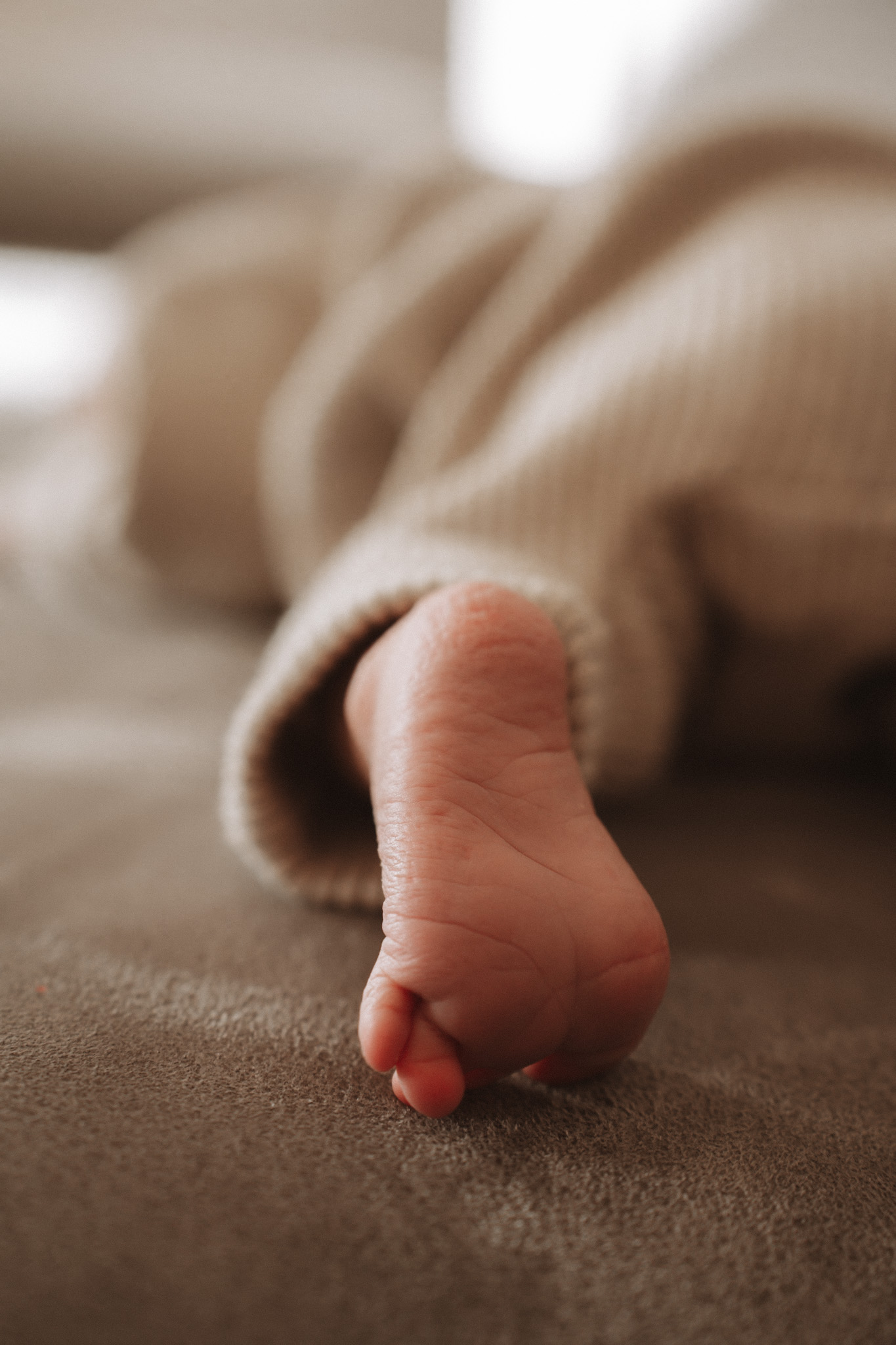Newborn